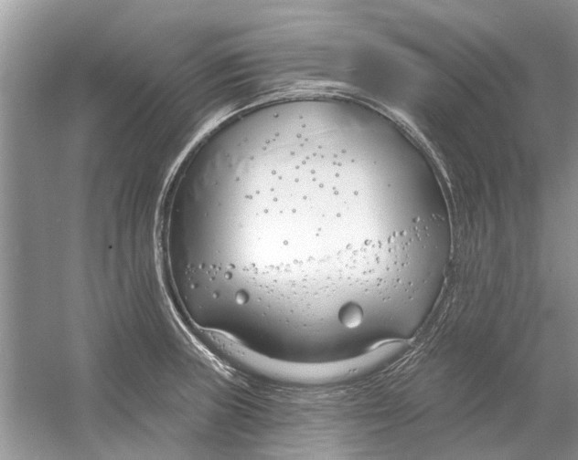 X0000053001235200508051126