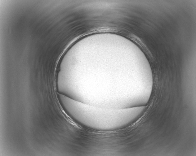 X0000053001236200508051126