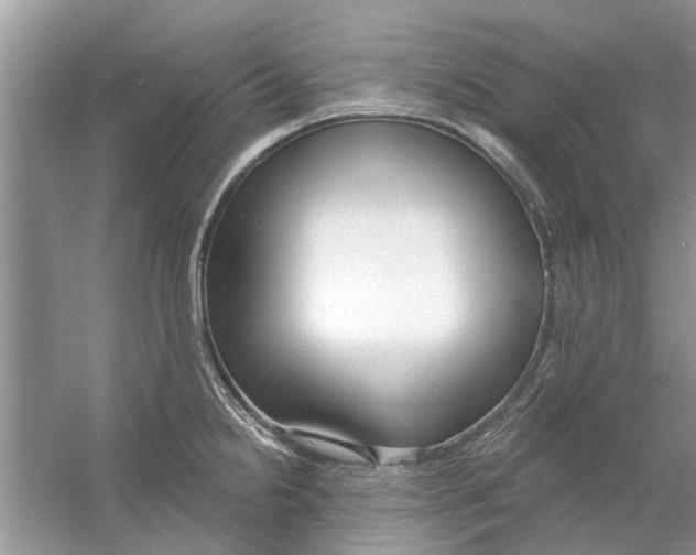 X0000053001238200508051126