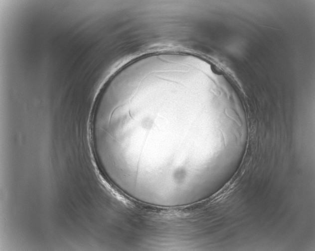 X0000053001239200508051126