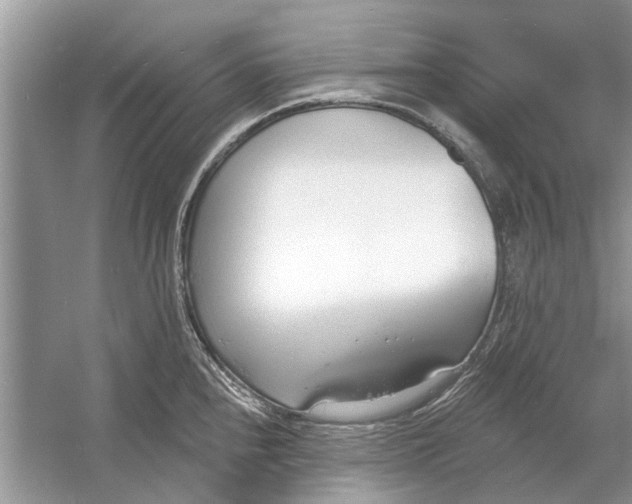 X0000053001240200508051126