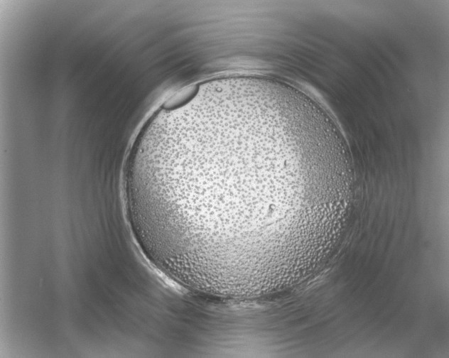 X0000053001243200508051126