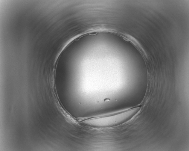 X0000053001244200508051126