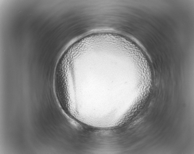 X0000053001245200508051126