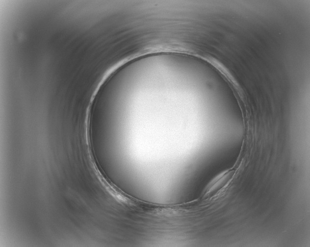 X0000053001246200508051126