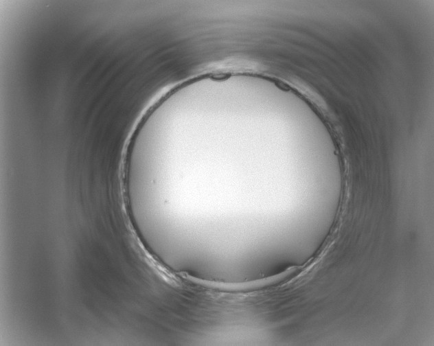 X0000053001248200508051126