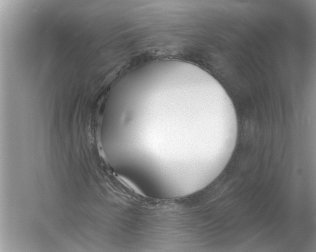 X0000053001250200508051125