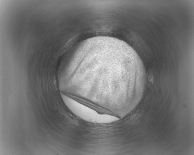 X0000053001252200508051125