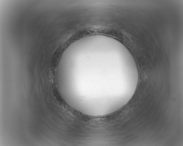 X0000053001253200508051125