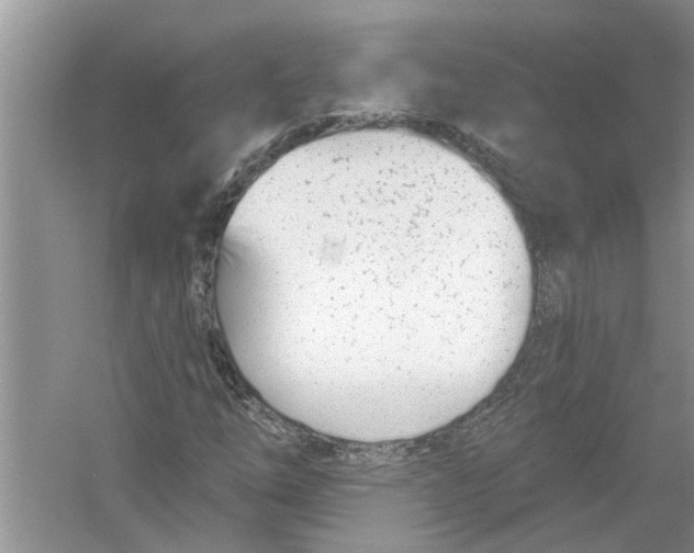 X0000053001254200508051125