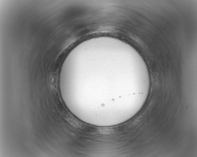 X0000053001258200508051125