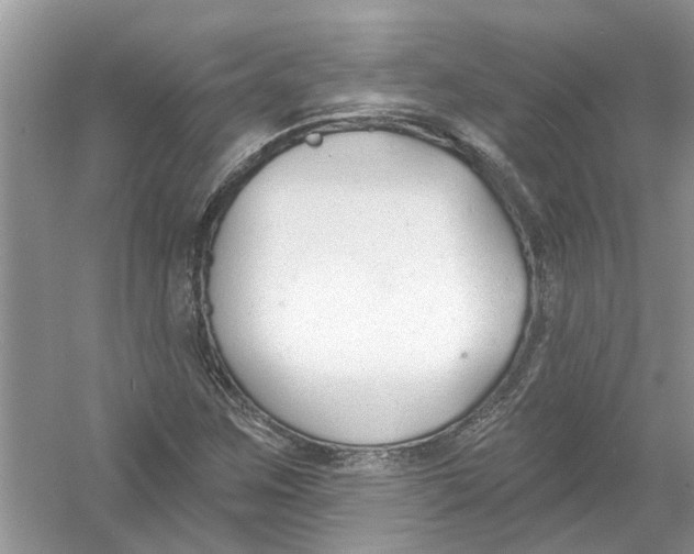 X0000053001259200508051125