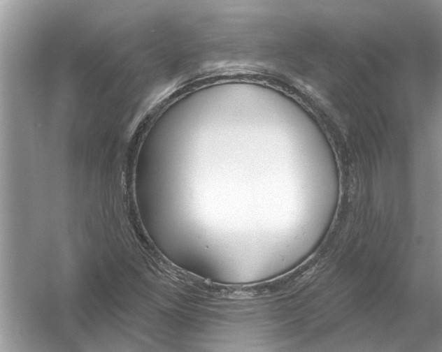 X0000053001261200508051125