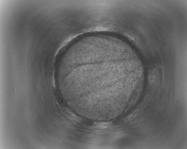 X0000053001262200508051125