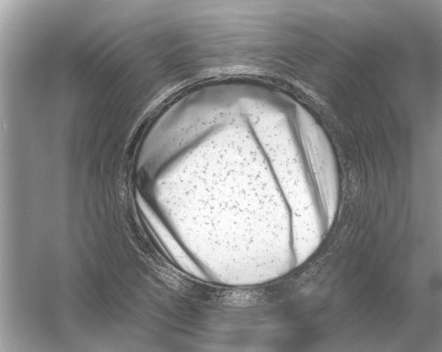 X0000053001266200508051125