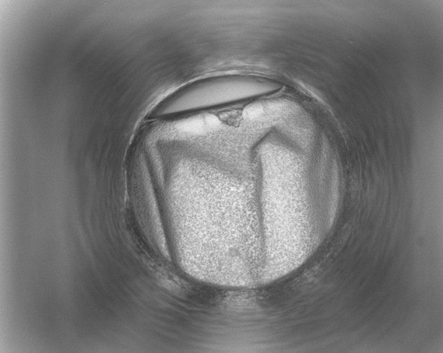 X0000053001267200508051125