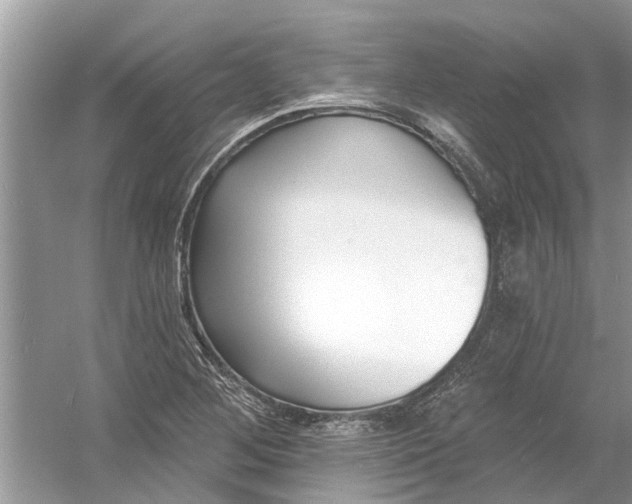 X0000053001268200508051125