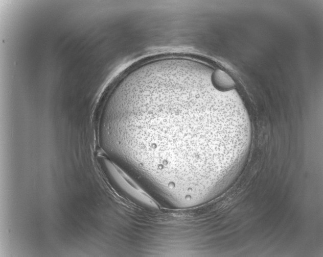 X0000053001271200508051125