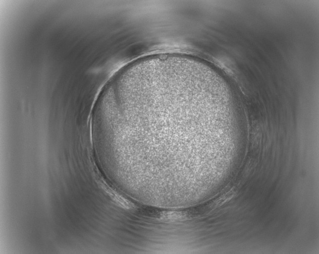 X0000053001275200508051124