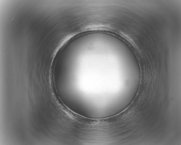 X0000053001277200508051124