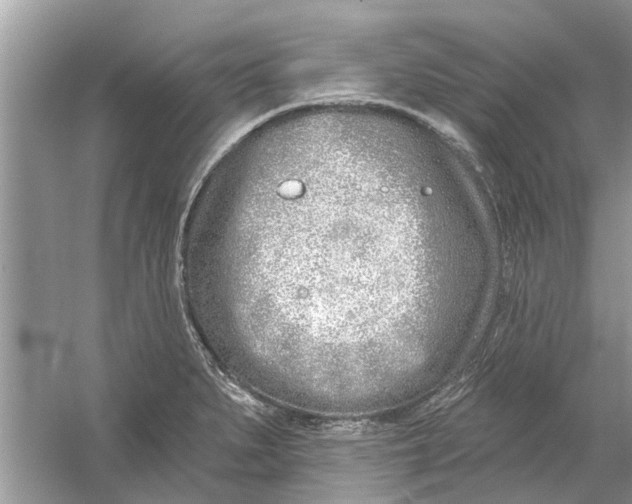 X0000053001279200508051124