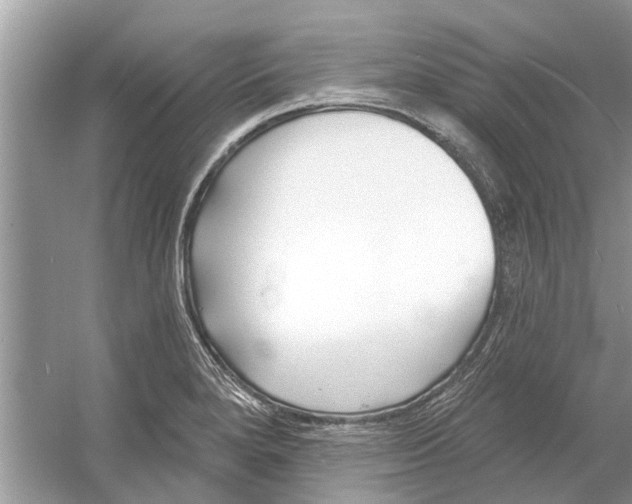 X0000053001280200508051124