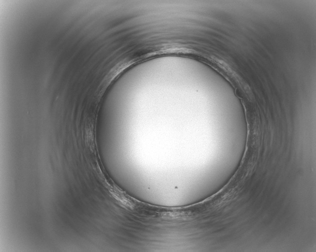 X0000053001281200508051124