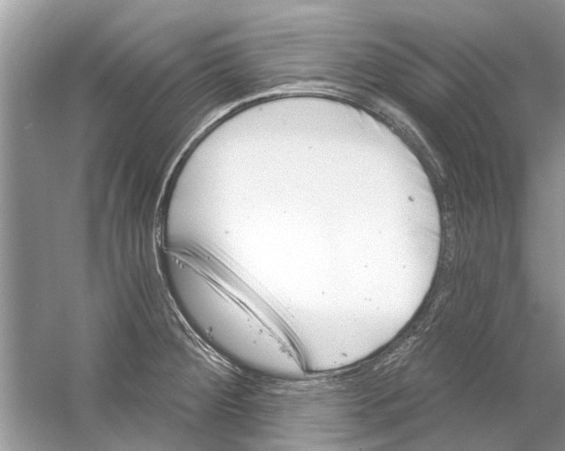 X0000053001284200508051124