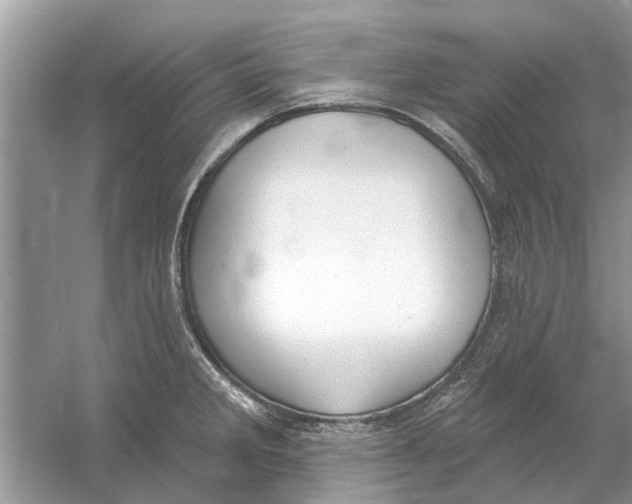 X0000053001285200508051124