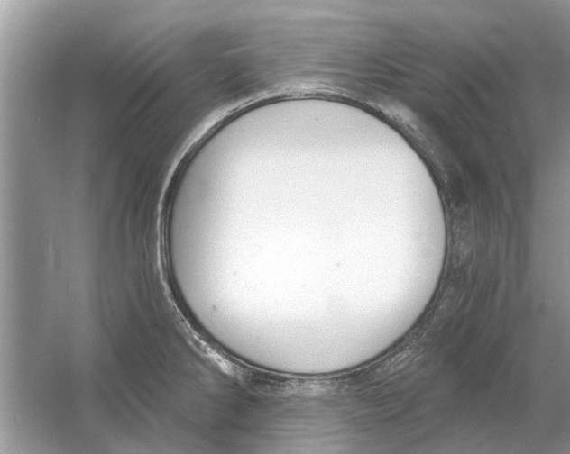 X0000053001286200508051124