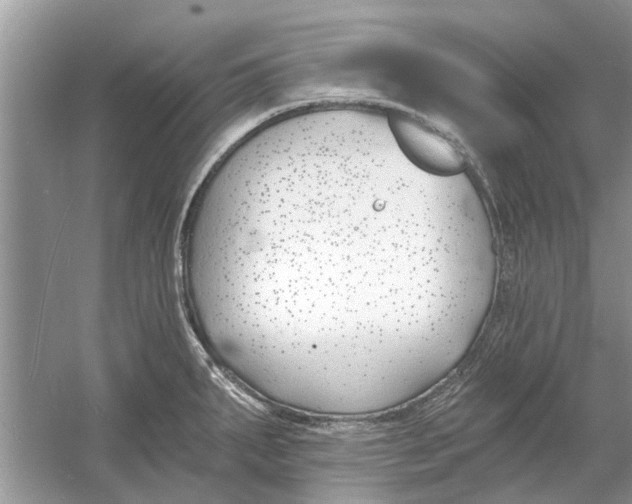 X0000053001287200508051124