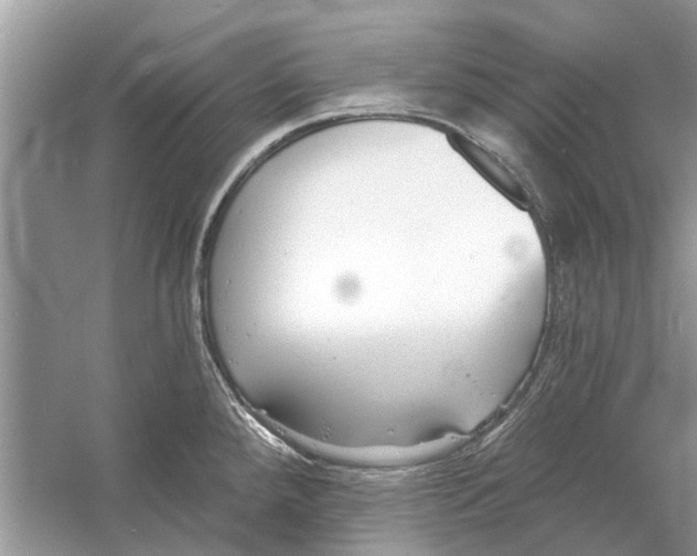 X0000053001288200508051124