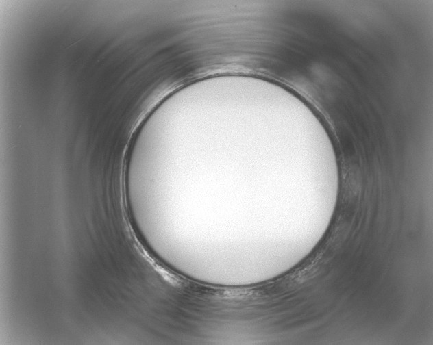 X0000053001290200508051124