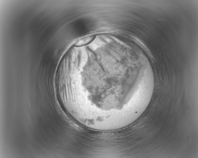 X0000053001291200508051124