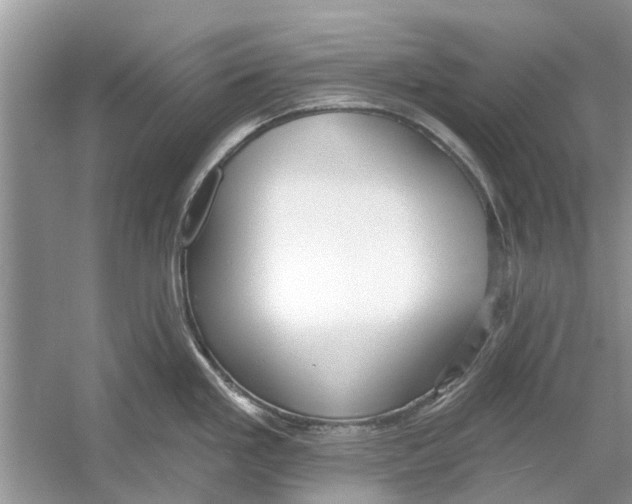 X0000053001293200508051124