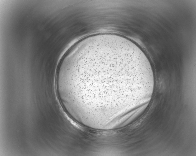 X0000053001294200508051124