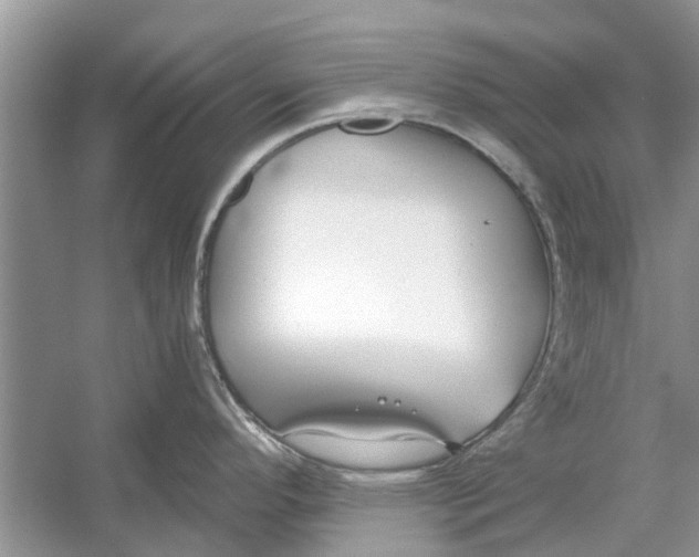 X0000053001296200508051124