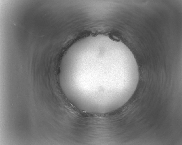 X0000053001297200508051123