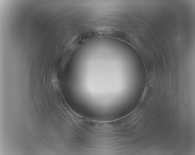 X0000053001298200508051123