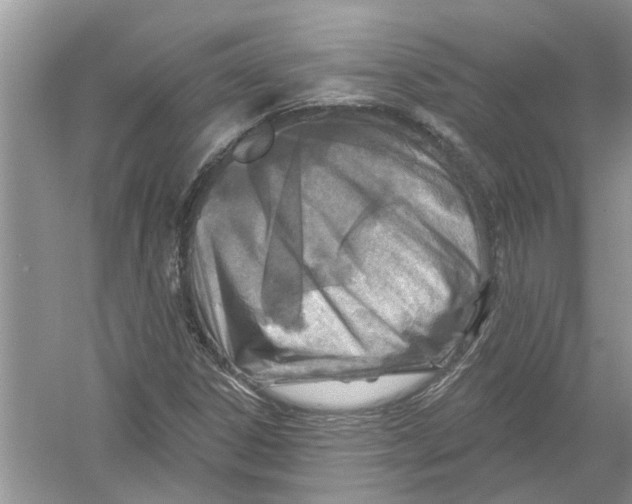 X0000053001306200508051123