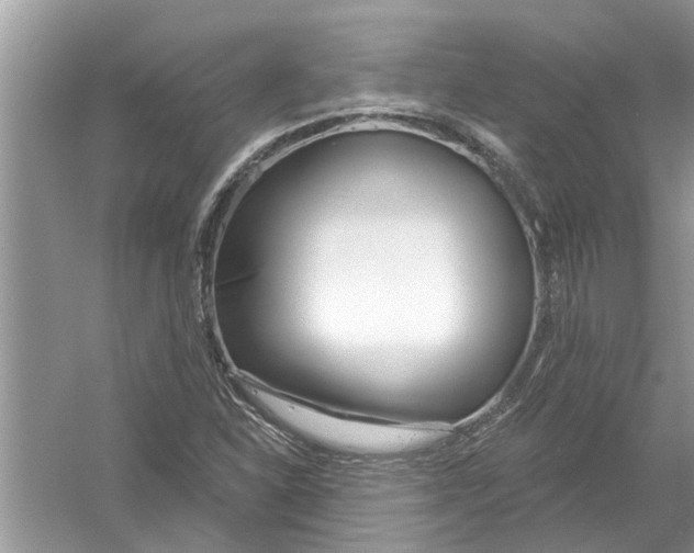 X0000053001310200508051124