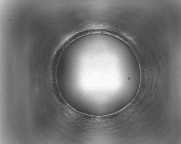 X0000053001311200508051124