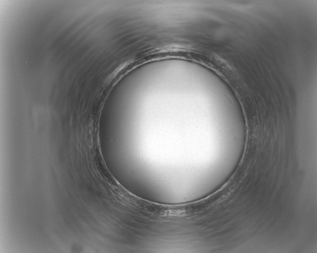 X0000053001313200508051124