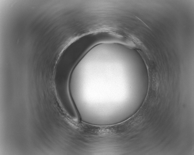 X0000053001316200508051124