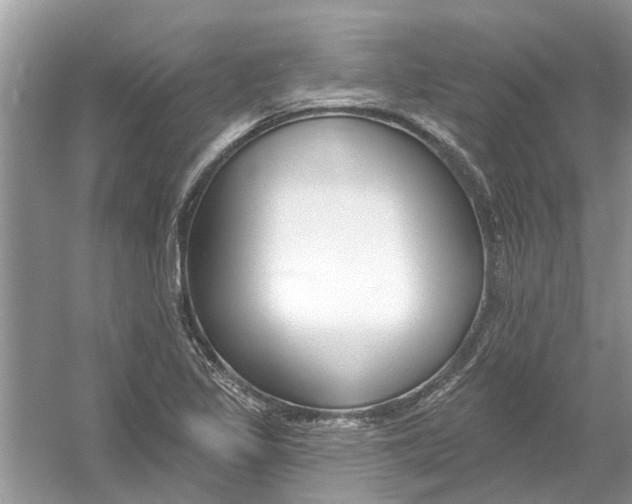 X0000053001317200508051124