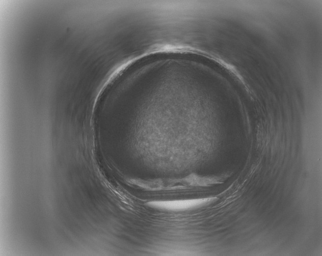 X0000053001319200508051124