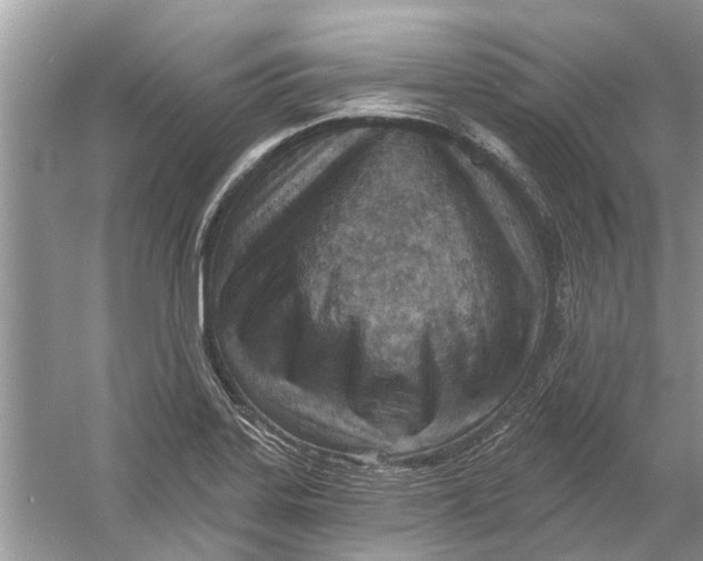 X0000053001323200508051124