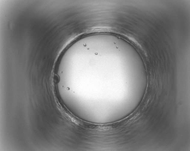 X0000053001325200508051124