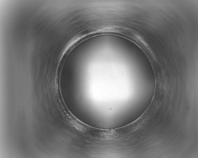 X0000053001328200508051124