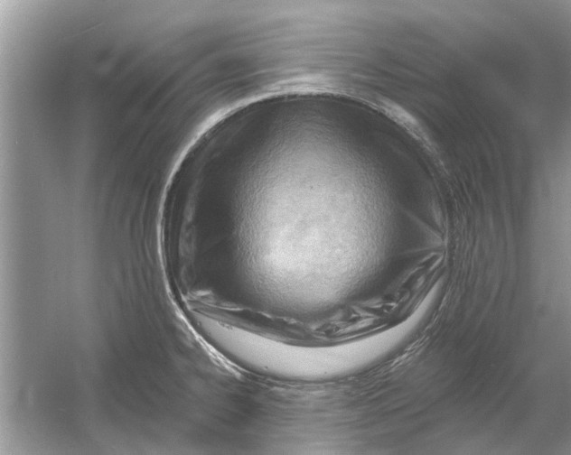 X0000053001334200508051124